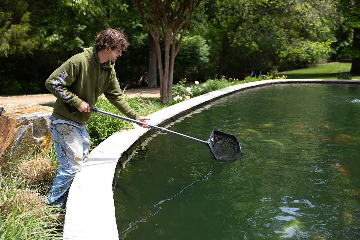 Aqua Fauna Ponds Periodic Cleaning Maintenance and Services