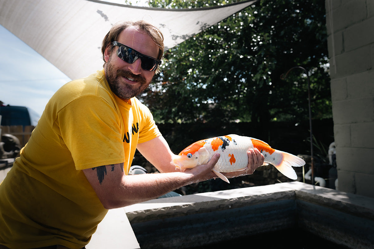 Koi Pond Winterization in Virginia: Pond Maintenance & Services for Richmond, Charlottesville & Williamsburg