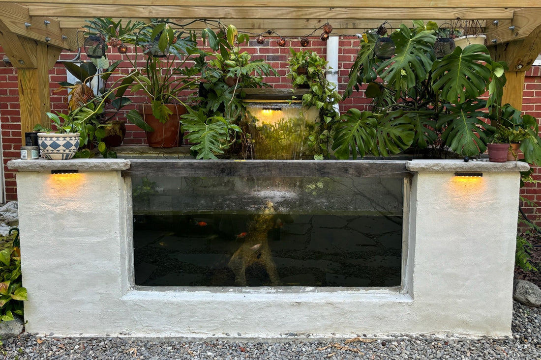 Window Ponds for Koi: Virginia's Unique Above-Ground Pond Experience