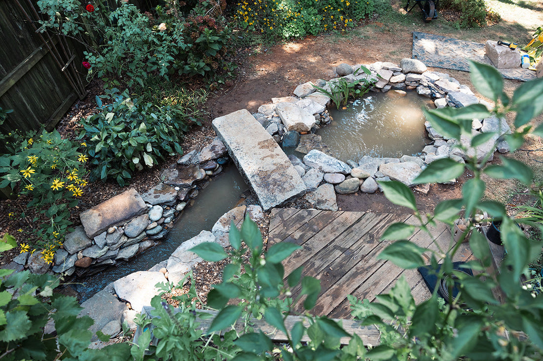 Building a Water Garden in Virginia: Inspired by Richmond’s James River