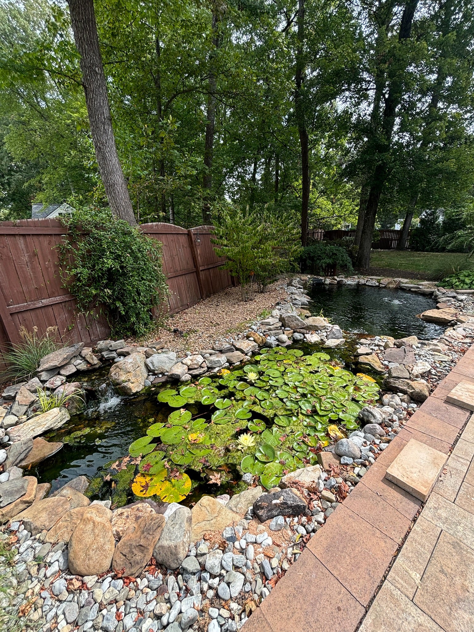 Water Garden