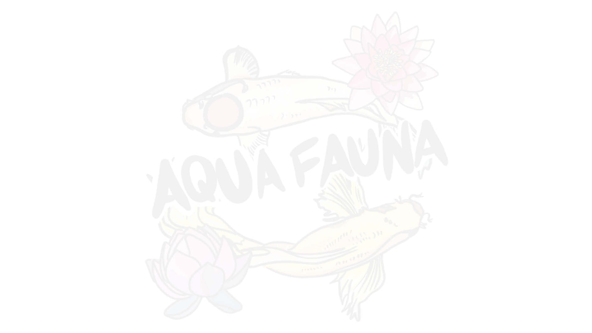 light aqua fauna logo